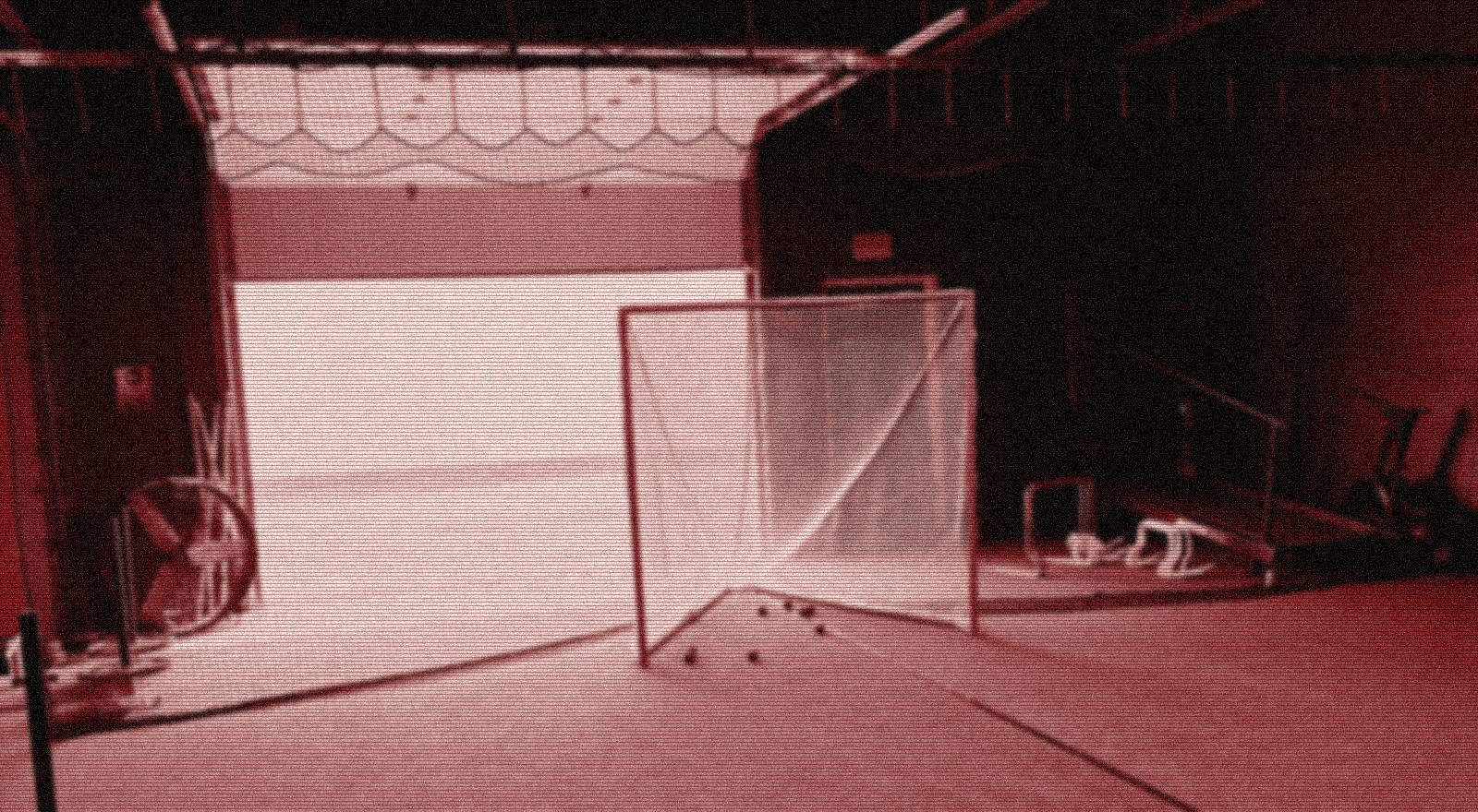 A stylized sneak peek of a lacrosse goal inside Lax Cave